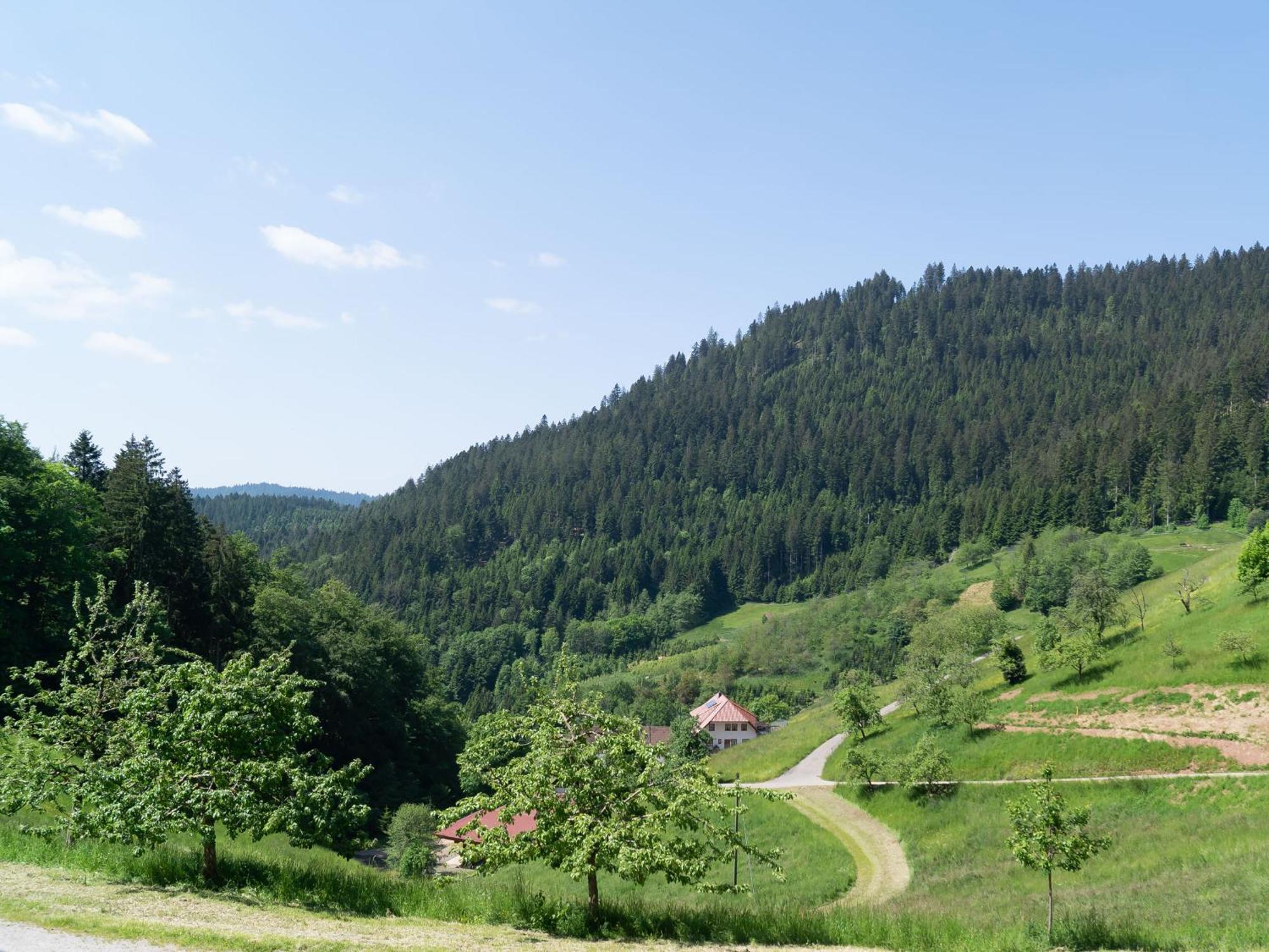Апартаменти Holderstanzenhof Бад-Петерсталь-Ґрісбах Екстер'єр фото