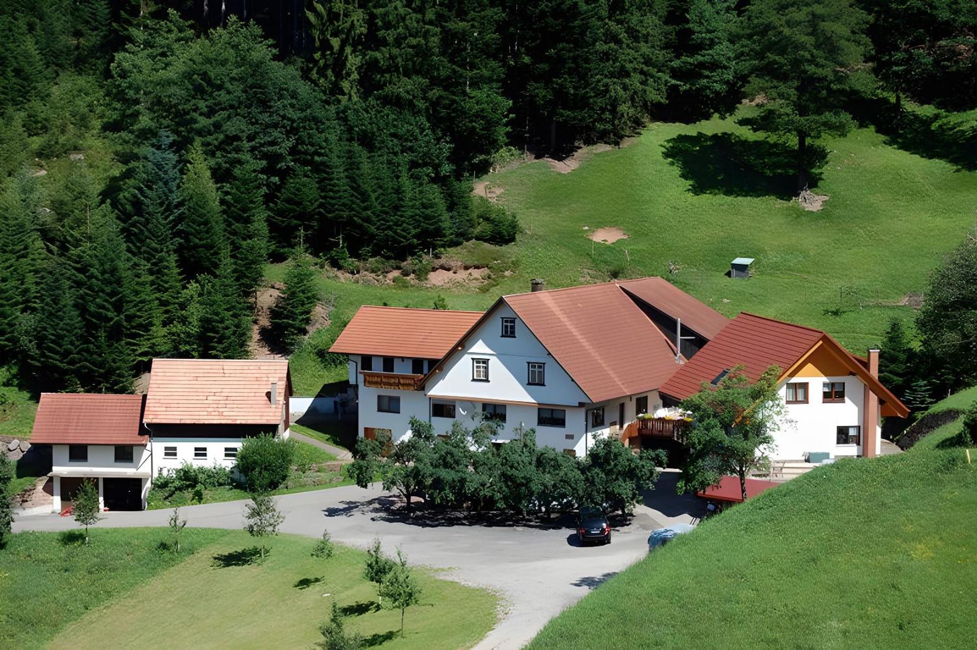 Апартаменти Holderstanzenhof Бад-Петерсталь-Ґрісбах Екстер'єр фото