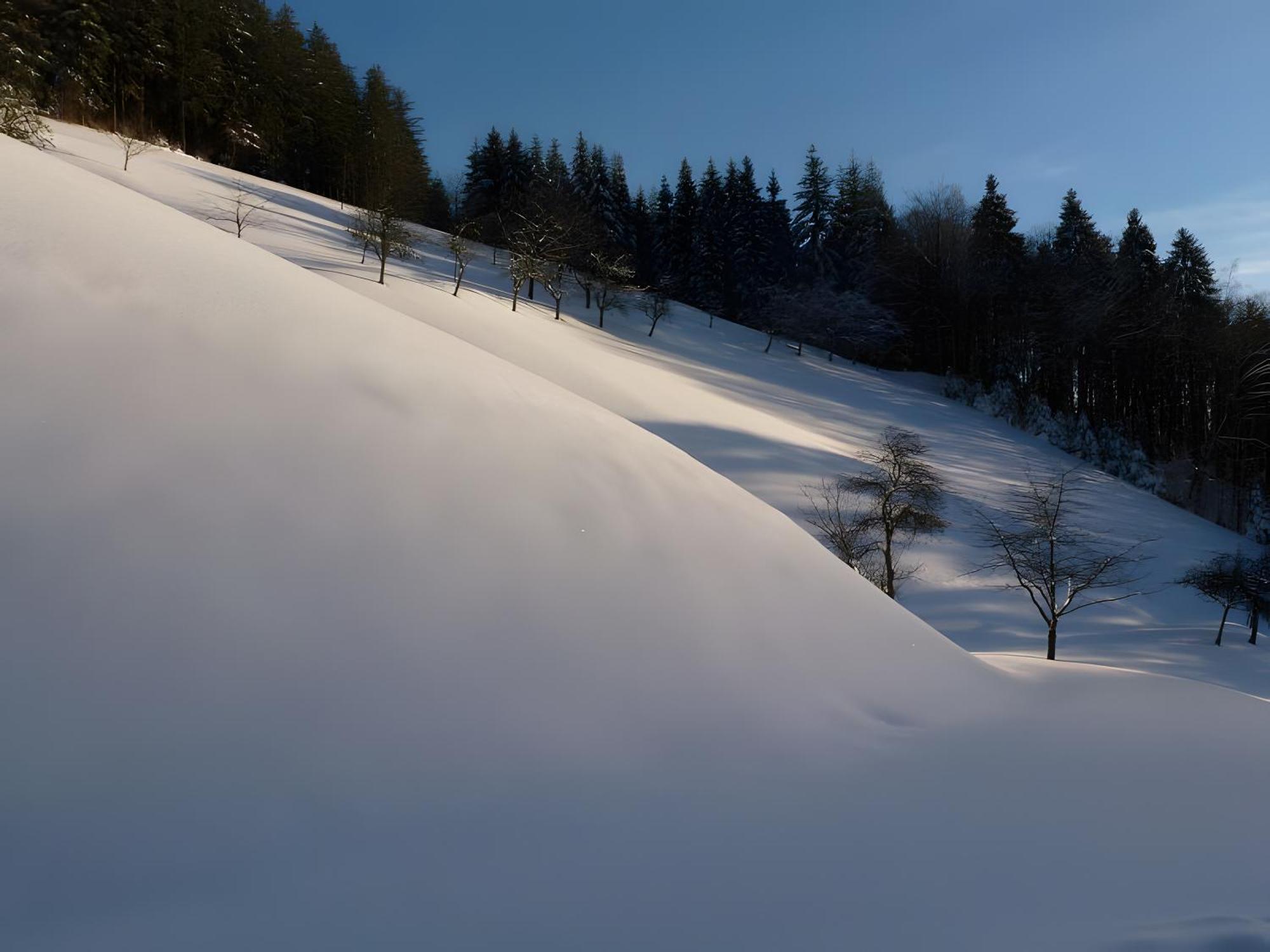 Апартаменти Holderstanzenhof Бад-Петерсталь-Ґрісбах Екстер'єр фото